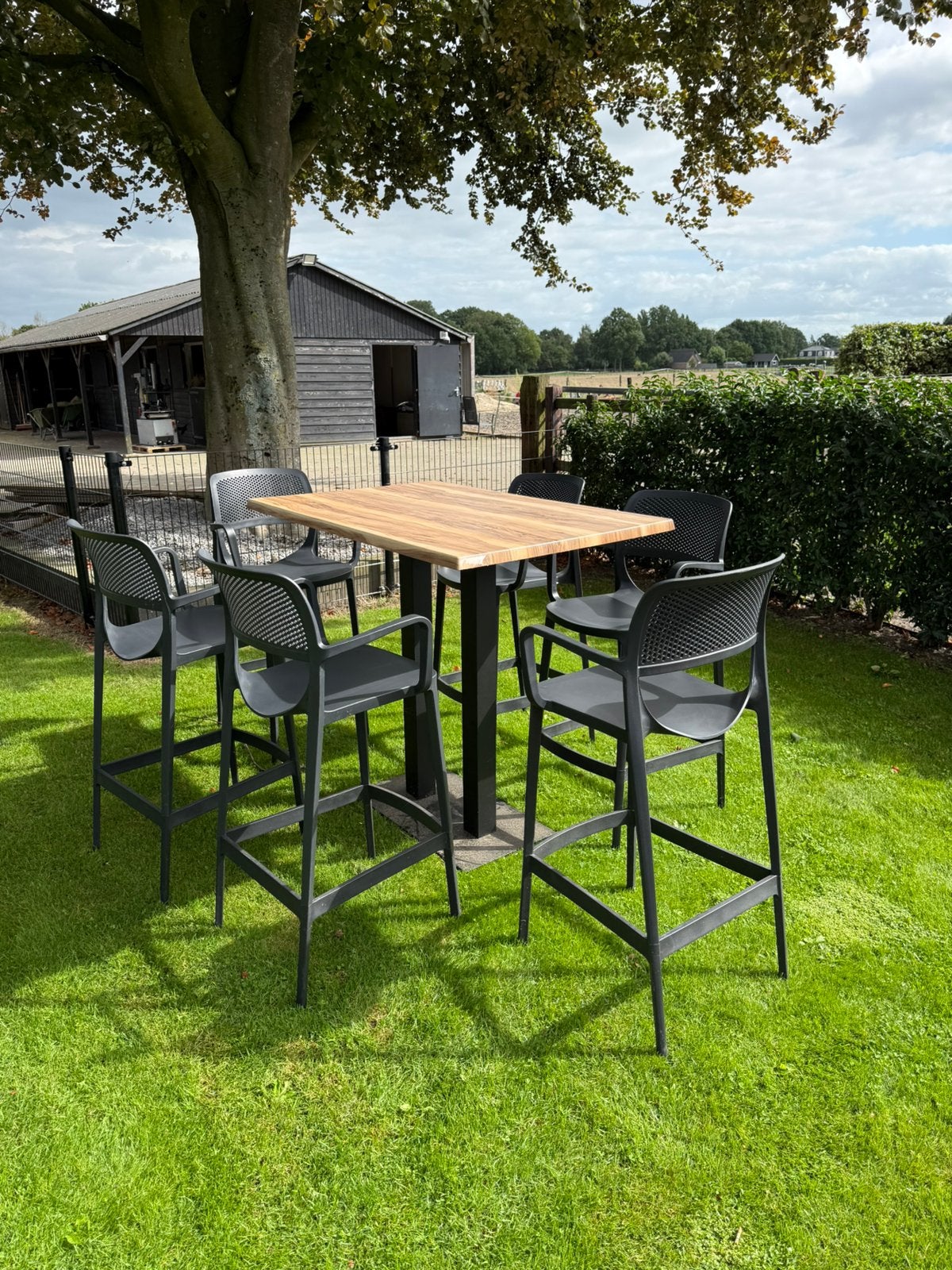Hoge bartafel + 6 krukken – complete luxe tuinset”, Ophalen of Verzenden, Zo goed als nieuw