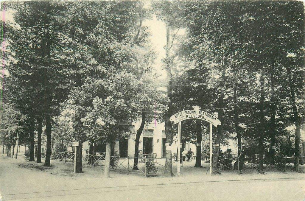 701-340-015 Belvedere, Verzamelen, Ansichtkaarten | Nederland, Zuid-Holland, Voor 1920, Verzenden