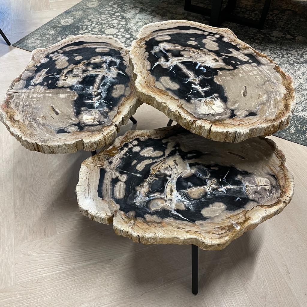 Versteend Hout Salontafels - Munker interiors, Ophalen, Nieuw, 50 tot 100 cm, Minder dan 50 cm