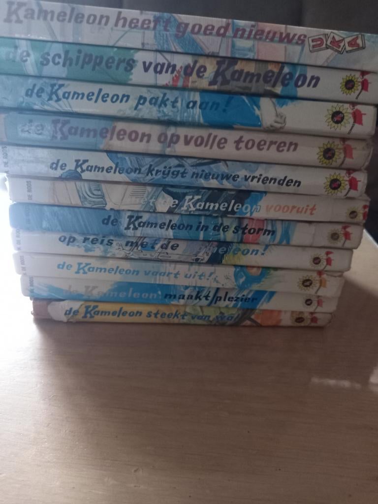 Kameleon Boeken - nog 4 delen beschikbaar, Ophalen, Gelezen, Hotze de Roos, Fictie algemeen