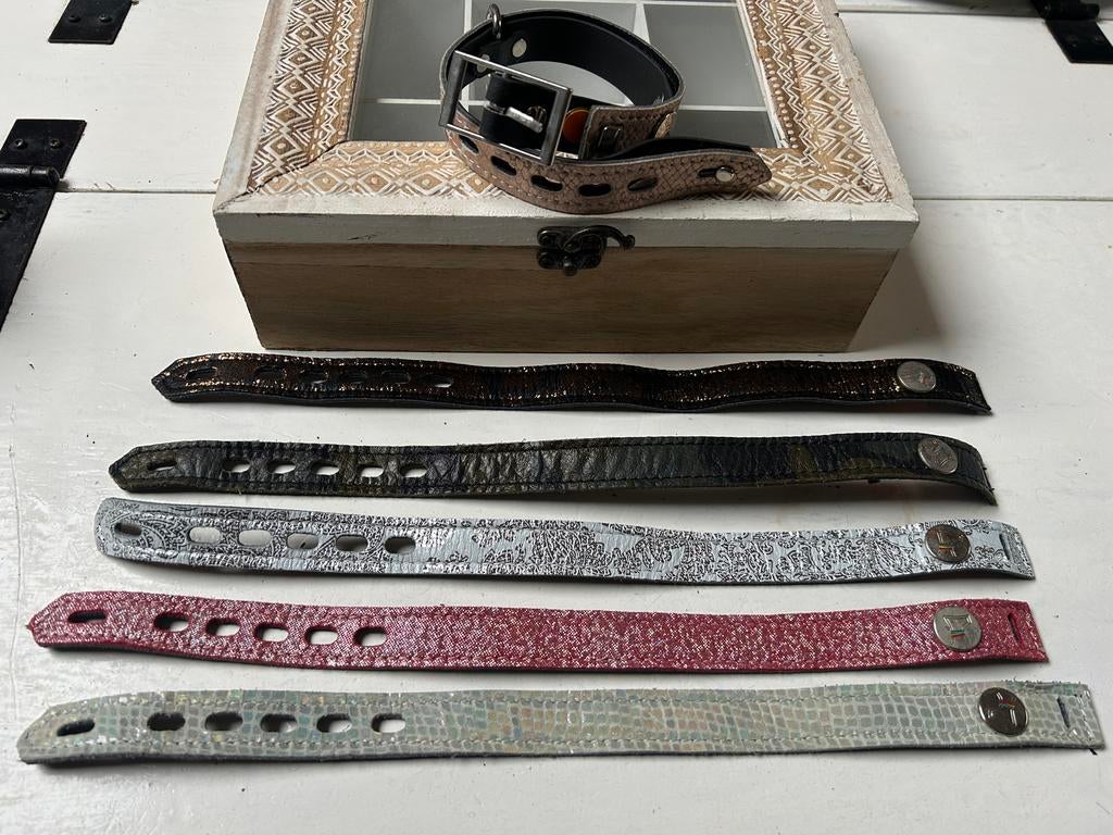 Buddy Belts Multi Collars halsbanden set Maat S set van 6, Dieren en Toebehoren, Ophalen of Verzenden, Nieuw