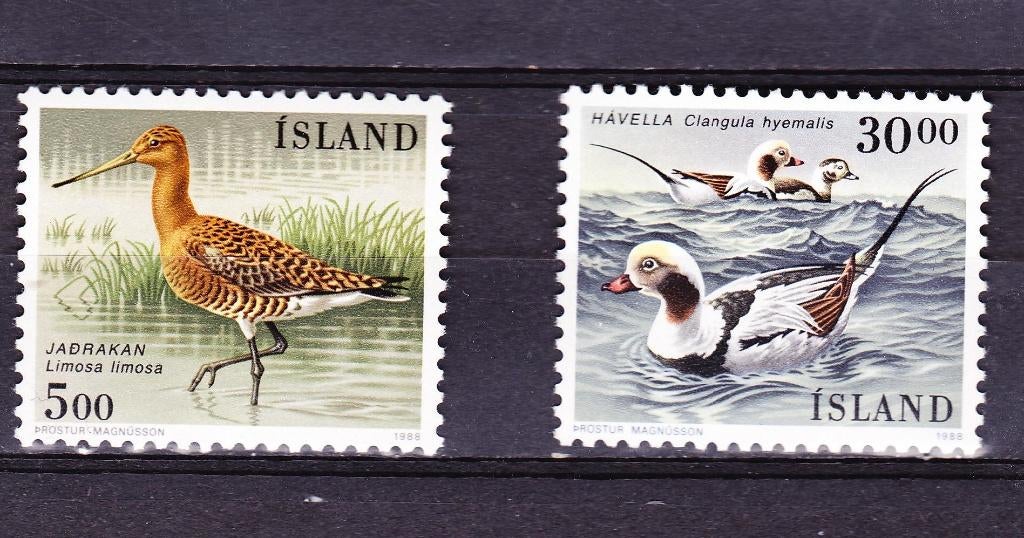 IJsland 1988 postfris vogels, Verzenden, IJsland, Postfris
