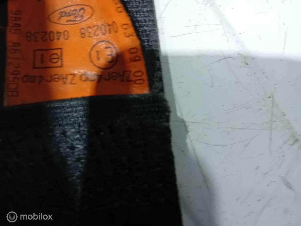 Gordel Ford Focus 98ABA61295DB 98ABA61294DB, Gebruikt, Ophalen of Verzenden