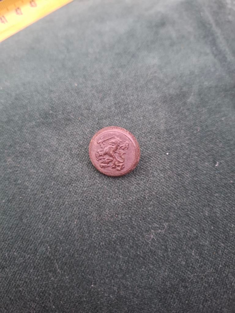 Oude knoop met leeuw, oorlog, Ophalen of Verzenden, Gebruikt, Overige onderwerpen, Button