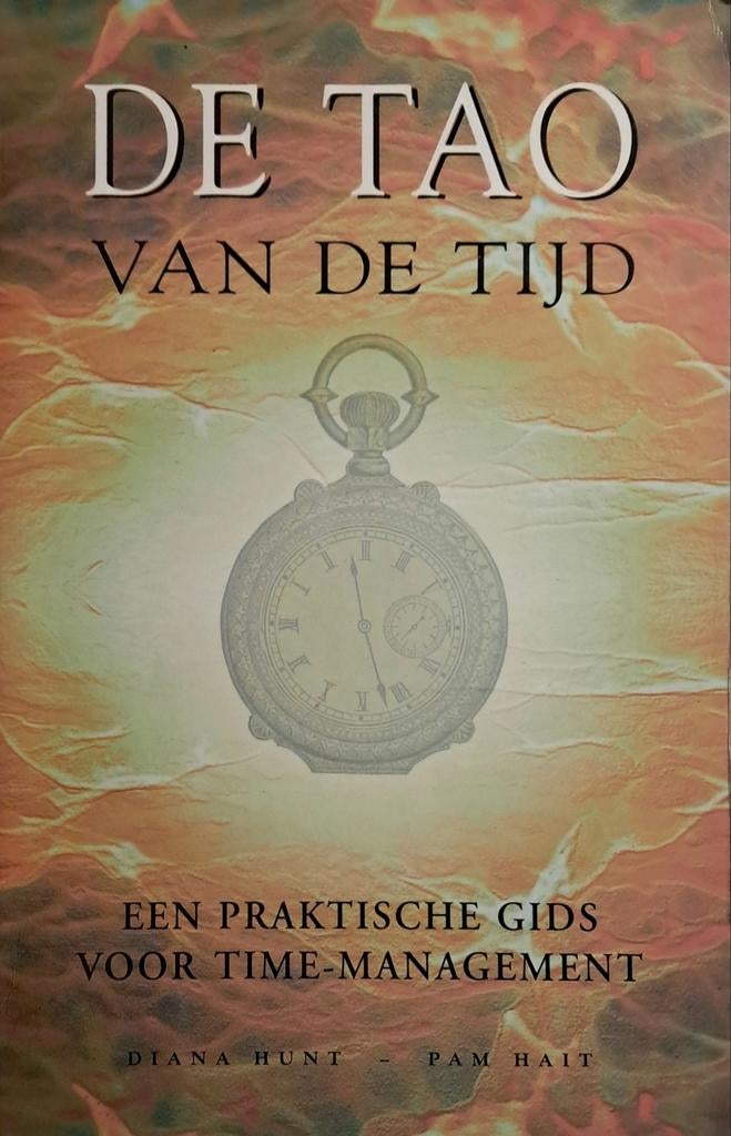 Boek 'DE TAO VAN DE TIJD', Boeken, Achtergrond en Informatie, Spiritualiteit algemeen, Verzenden, Zo goed als nieuw
