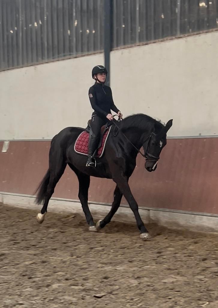 Paarden zadelmak maken