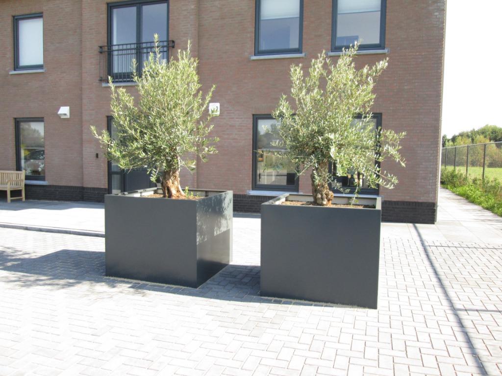 metalen plantenbakken, Tuin en Terras, Bloembakken en Plantenbakken, 100 cm of meer, Vierkant, Nieuw, Ophalen of Verzenden