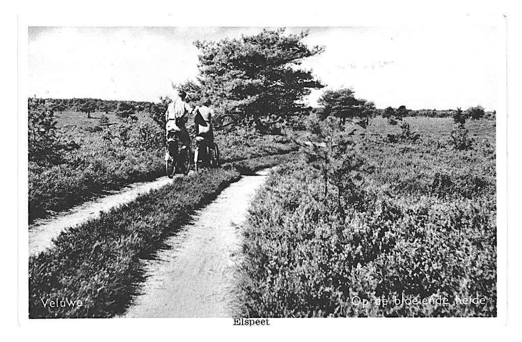 987337 Elspeet Gld 1958 Gelopen met postzegel, Verzamelen, Ansichtkaarten | Nederland, Gelopen, Gelderland, 1940 tot 1960, Ophalen of Verzenden