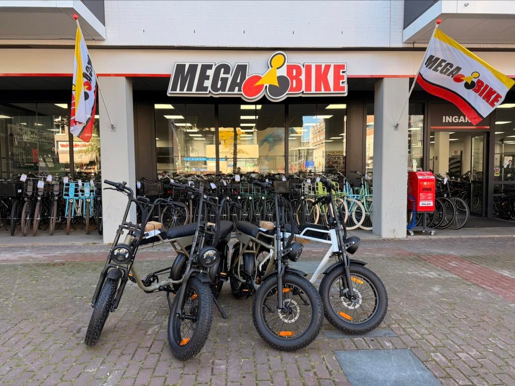 AGM GT250 fatbike van €2099,- voor €1299!!!, Ophalen, Zo goed als nieuw, 50 km per accu of meer, Overige merken