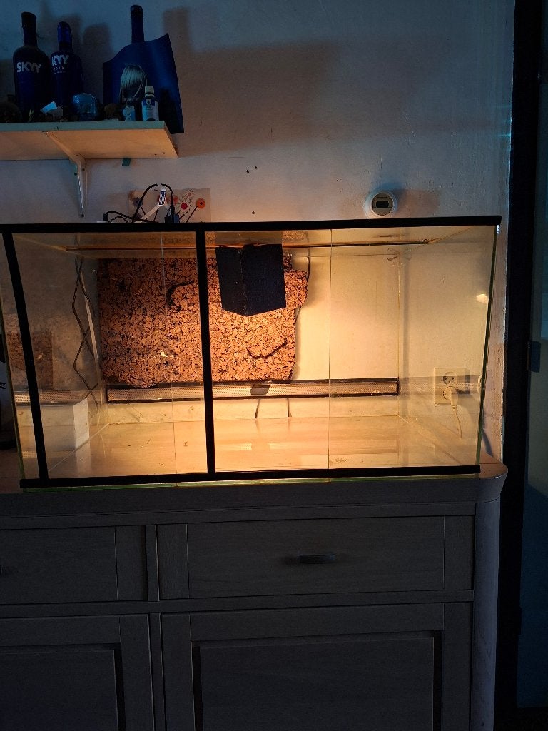 Terrarium, Ophalen, Gebruikt