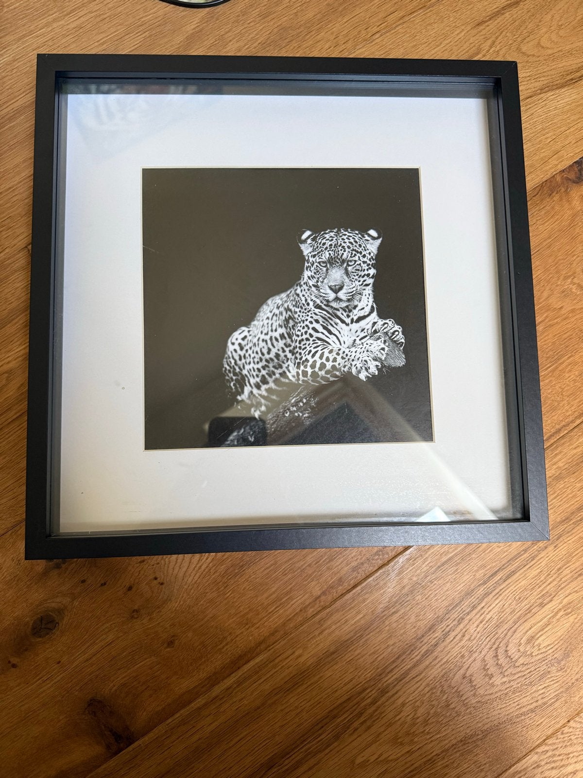 9x Zwarte Fotolijst 30x30 cm, Ophalen of Verzenden, Gebruikt, Zwart, Fotolijst