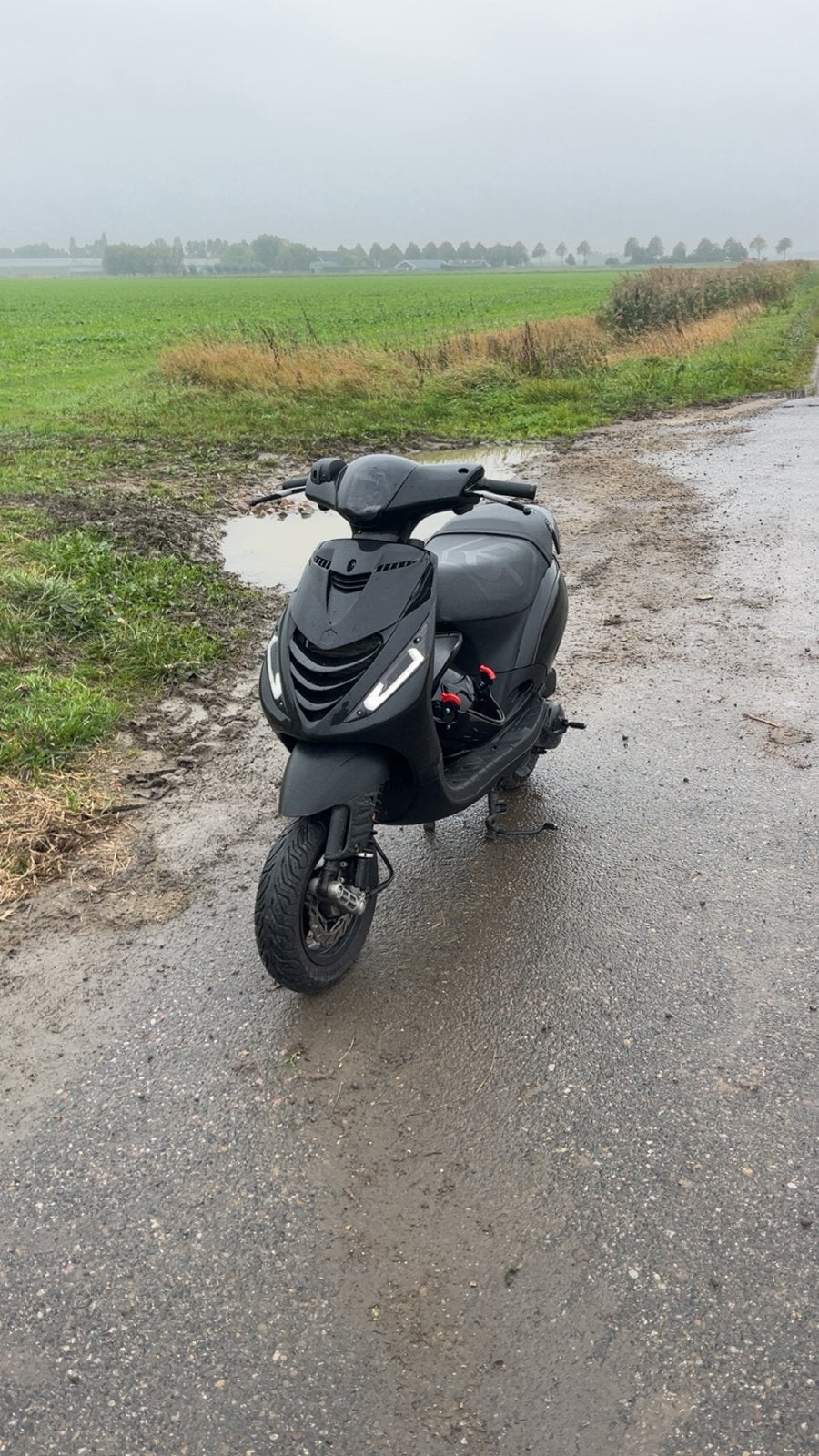 Piaggio zip h2o origineel 50cc, Ophalen, Tweetakt, Maximaal 45 km/u, Zip