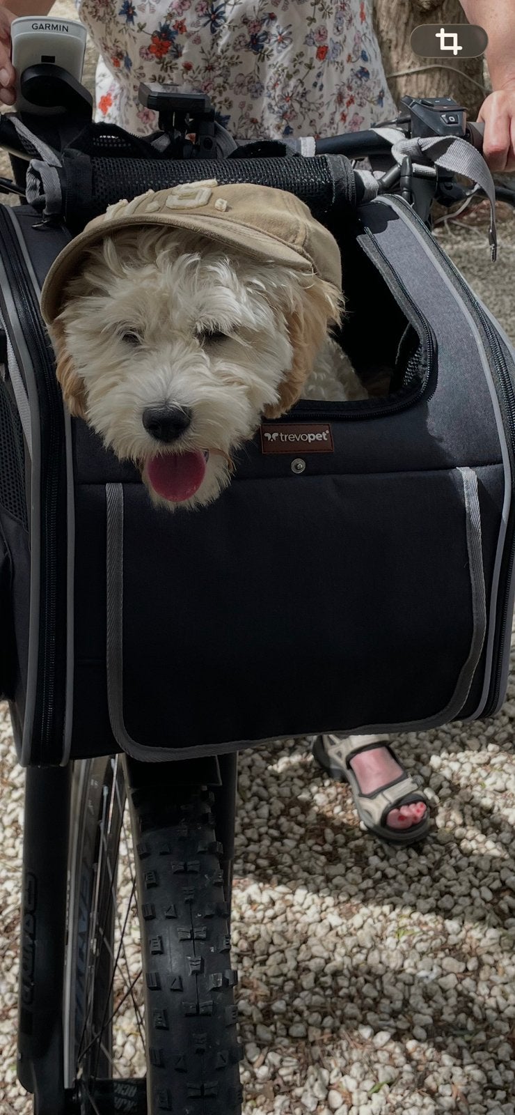 Honden fietsmand voor op stuur van fiets, Ophalen of Verzenden