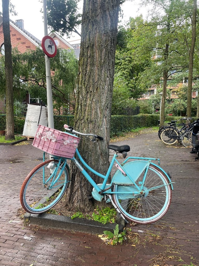 Popal fiets, Ophalen, Gebruikt, 26 inch of meer, Popal