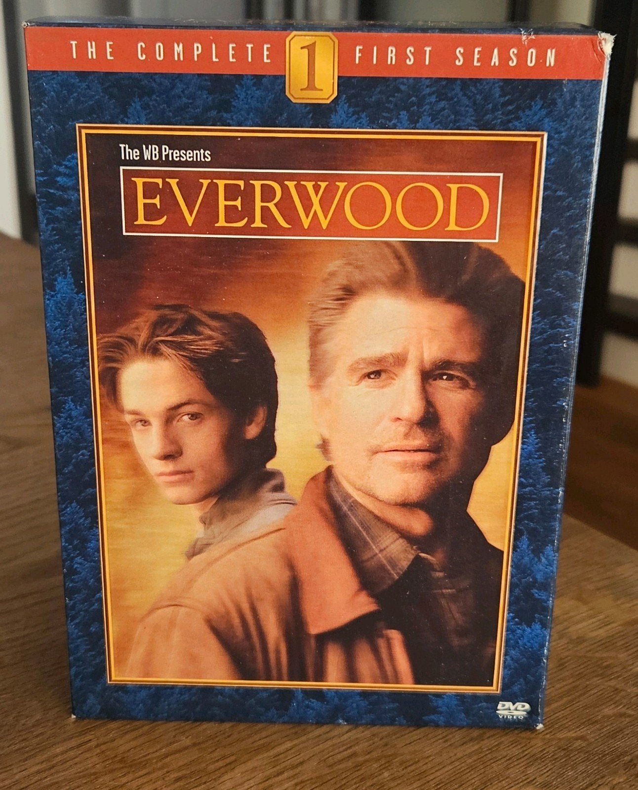 Everwood Boxset DVD 1e Seizoen, Ophalen, Gebruikt