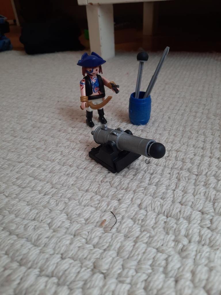 Rover van playmobil, Kinderen en Baby's, Speelgoed | Playmobil, Ophalen, Zo goed als nieuw
