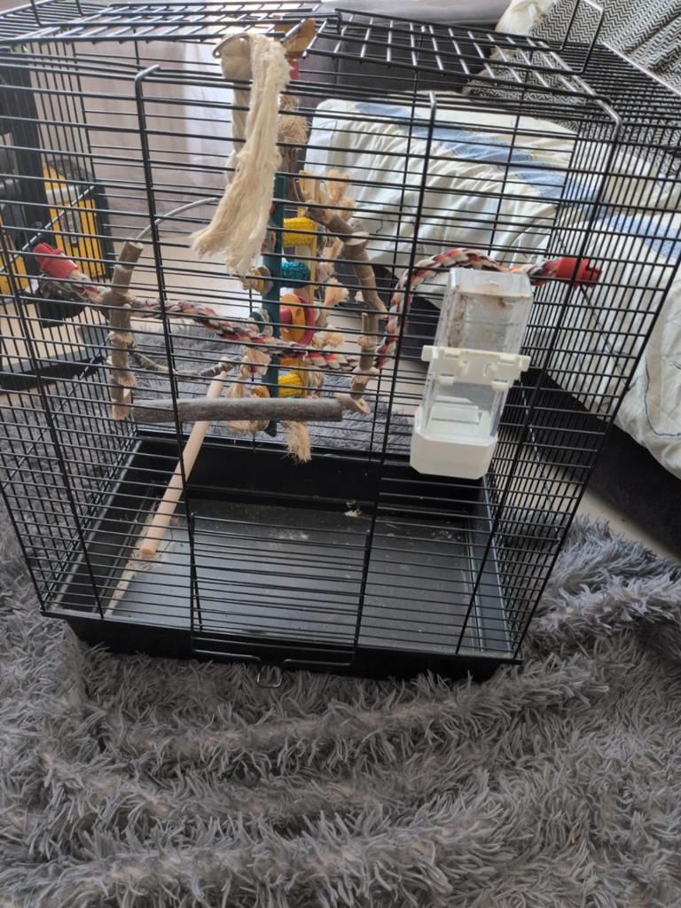 Een best nieuwe Vogelkooi te koop met tas speeltjes, Overige soorten