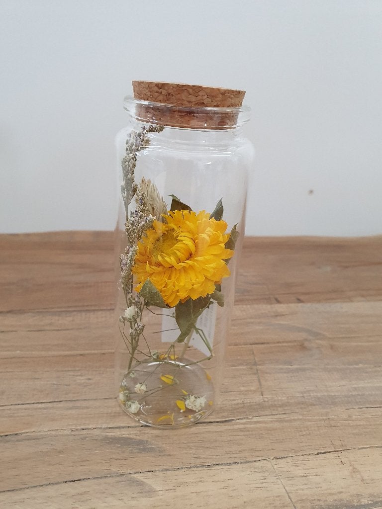 Buisje glas met droogbloemen, *, *, Nieuw, Ophalen of Verzenden