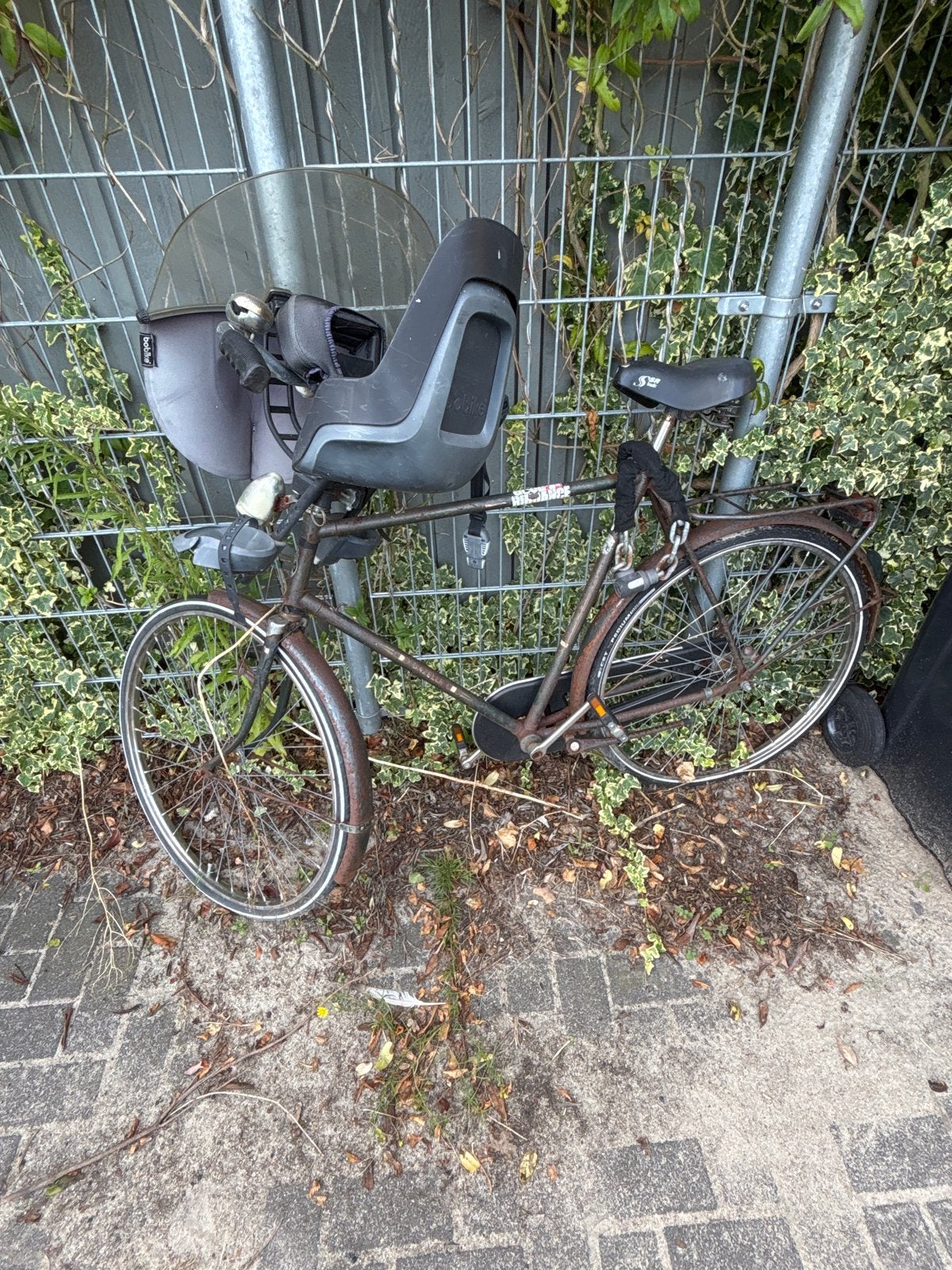 Oude fiets met kinderzitje - Opknapper, Terugtraprem, Ophalen, Overige merken, 53 tot 56 cm