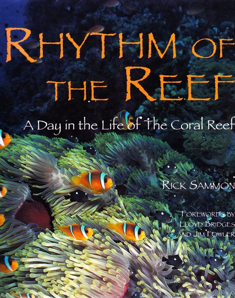Rhythm of the Reef - Rick Sammon / 9781853107412, Boeken, Dieren en Huisdieren, Rick Sammon, Ophalen of Verzenden, Zo goed als nieuw