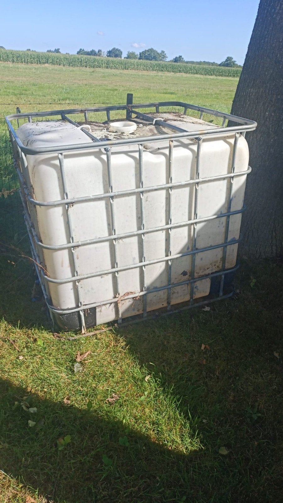 IBC Watertank 1000L - Gebruikt, Tuin en Terras, Regentonnen, 150 liter of meer, Ophalen, Gebruikt, Kunststof