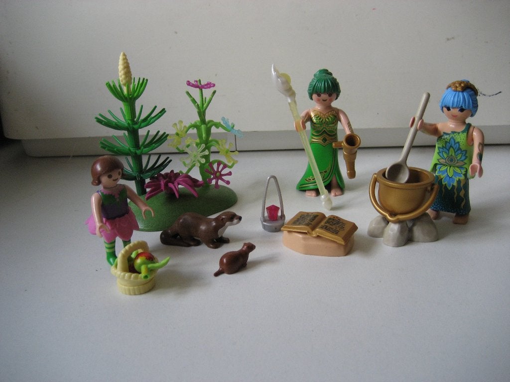 playmobil tover fairies met elfje en dieren, Ophalen of Verzenden, Zo goed als nieuw