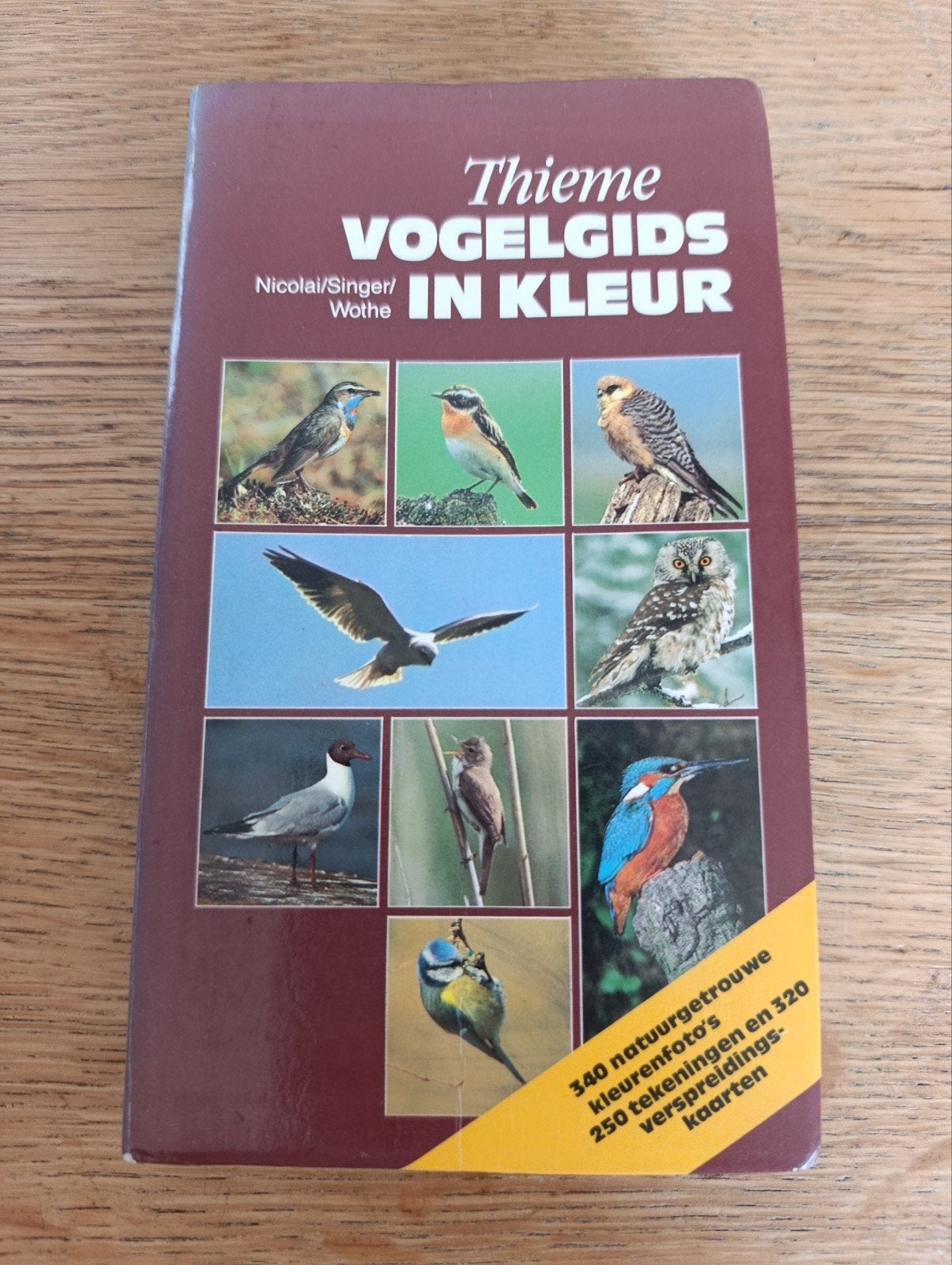 J. Nicolai, Vogelgids in kleur, Boeken, Ophalen of Verzenden, Zo goed als nieuw, Vogels, J. Nicolai; K. Wothe; D. Singer
