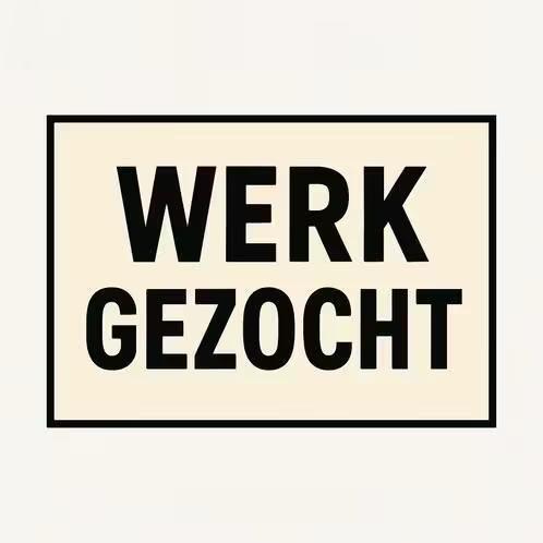 Klusjes gezocht Gouda, Vacatures, Overige niveaus, Vanaf 10 jaar, Overige vormen