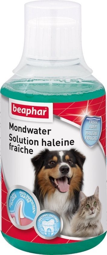 Beaphar Mondwater 250 ml, Overige typen, Overige merken, ., Nieuw