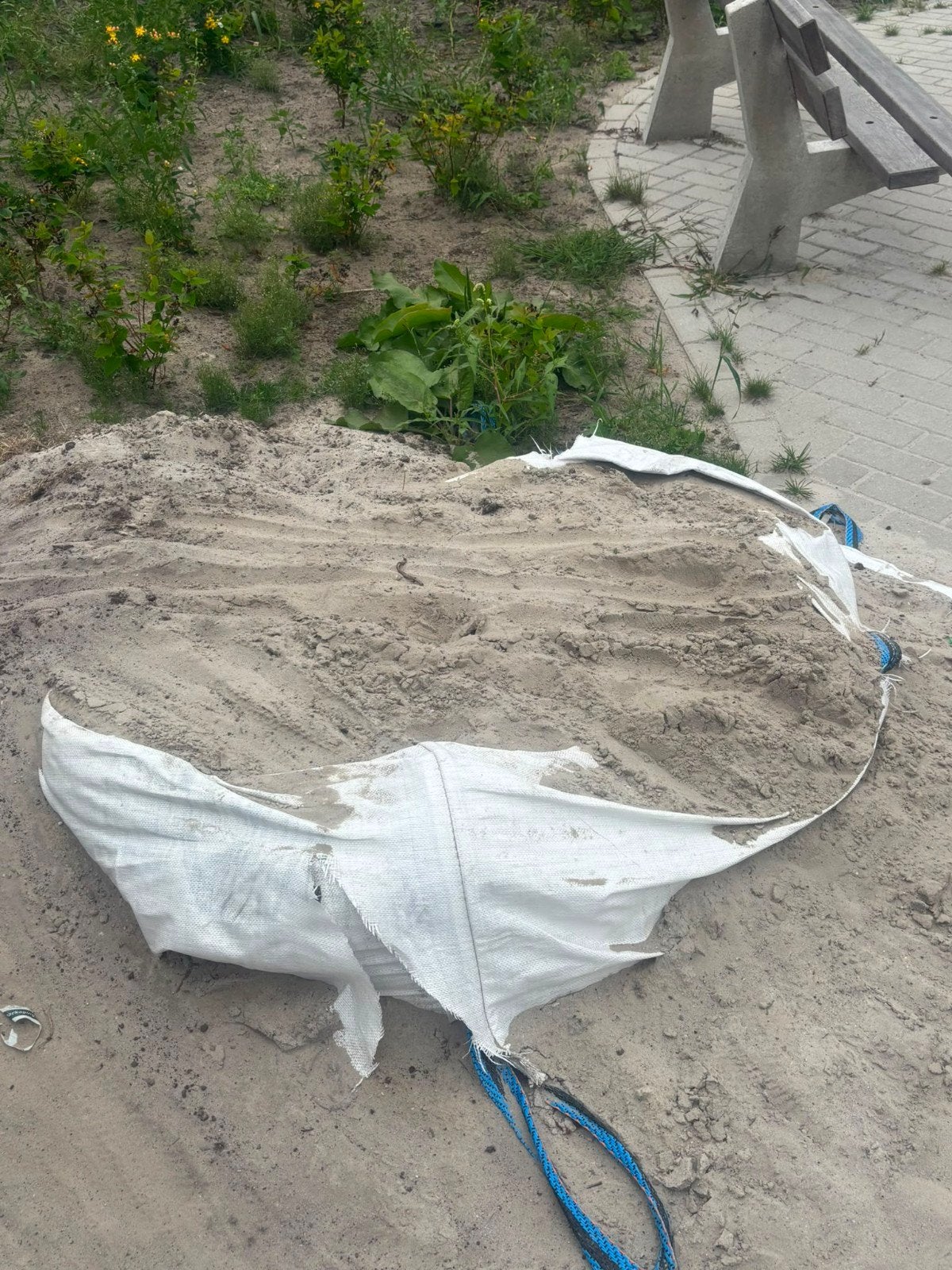 Ruim halve kuub geel zand gratis af te halen, Ophalen of Verzenden, Ophoogzand