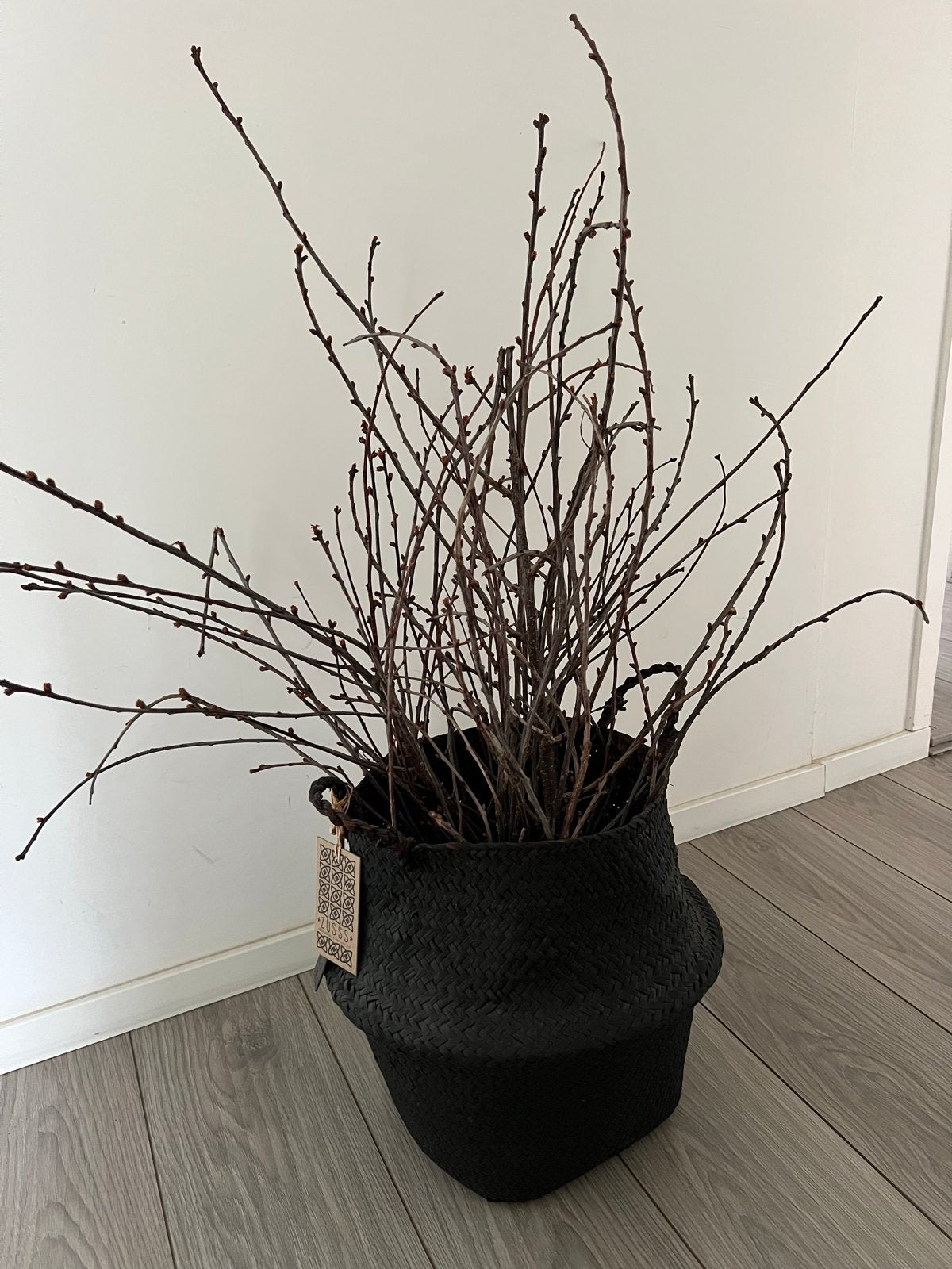 Leuke mand met decoratie takken, Ophalen, Zwart, Natuurlijk materiaal, Landelijk