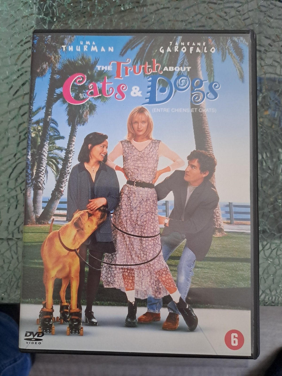 The truth about cats and dogs (dvd), Alle leeftijden, Ophalen of Verzenden, Zo goed als nieuw, Romantische komedie