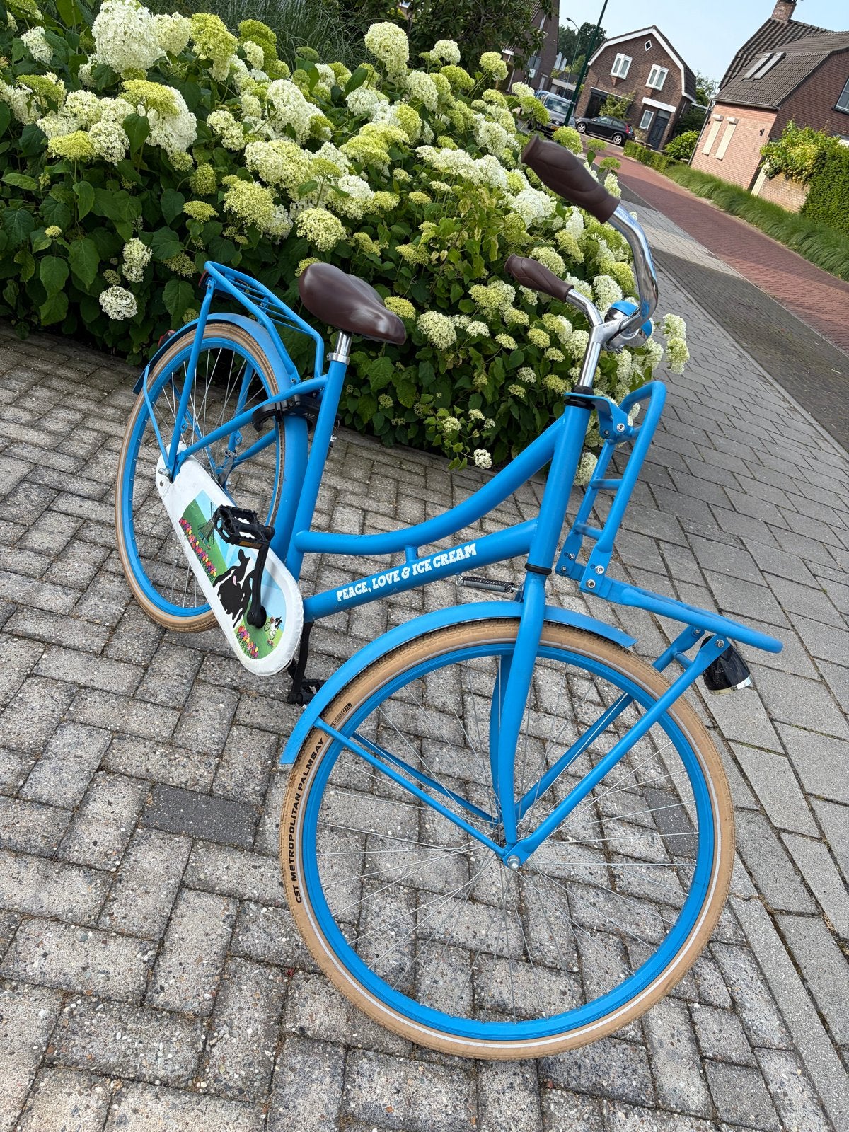 Transport/oma fiets met voordrager, Terugtraprem, Gebruikt, 50 tot 53 cm, Ophalen