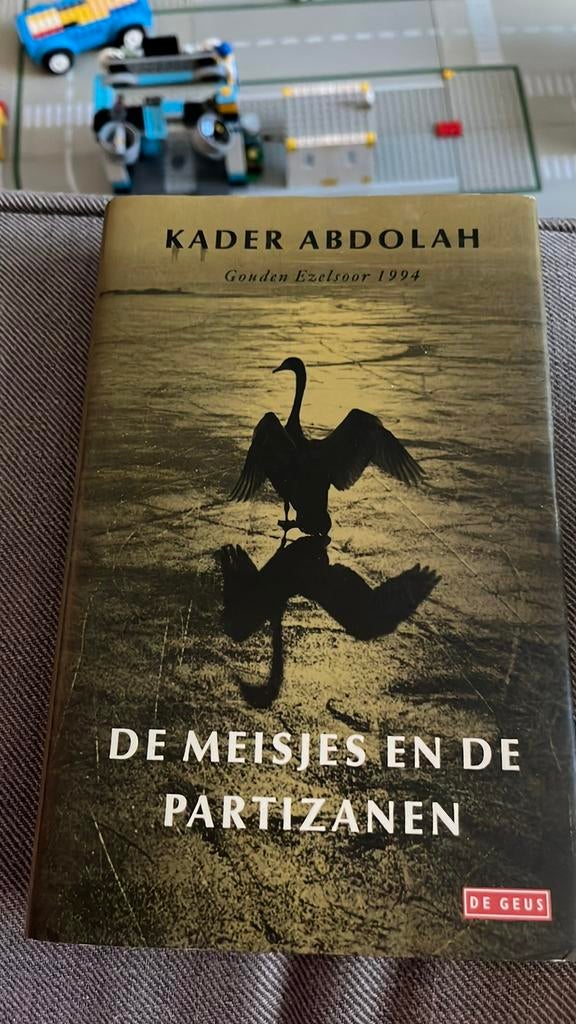 De meisjes en de partizanen, Ophalen of Verzenden, Zo goed als nieuw