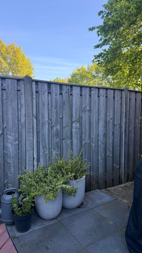 Verkocht - Complete schutting (11 panelen + 12 betonpalen), Ophalen, 6 meter of meer, Hout, 1 tot 2 meter