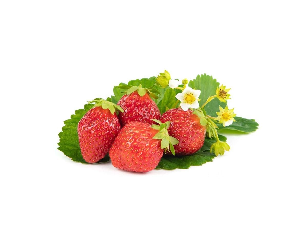 Gezocht, aardbeienstekjes, Ophalen, Gehele jaar, Volle zon, Wortelstok