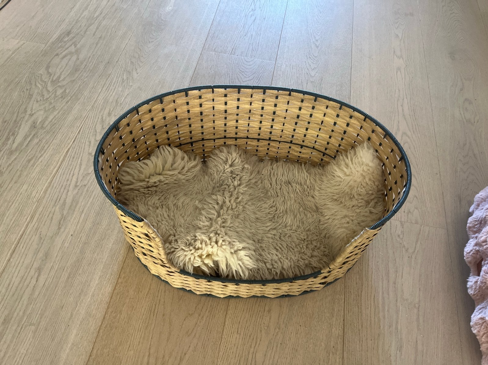Mooie designmand met kussentje en eventueel schapenvacht, Dieren en Toebehoren, Ophalen of Verzenden, Riet