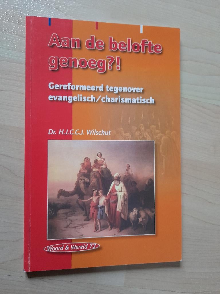 AAN DE BELOFTE GENOEG?! HJCCJ Wilschut Woord en Wereld 72, Ophalen of Verzenden, Zo goed als nieuw