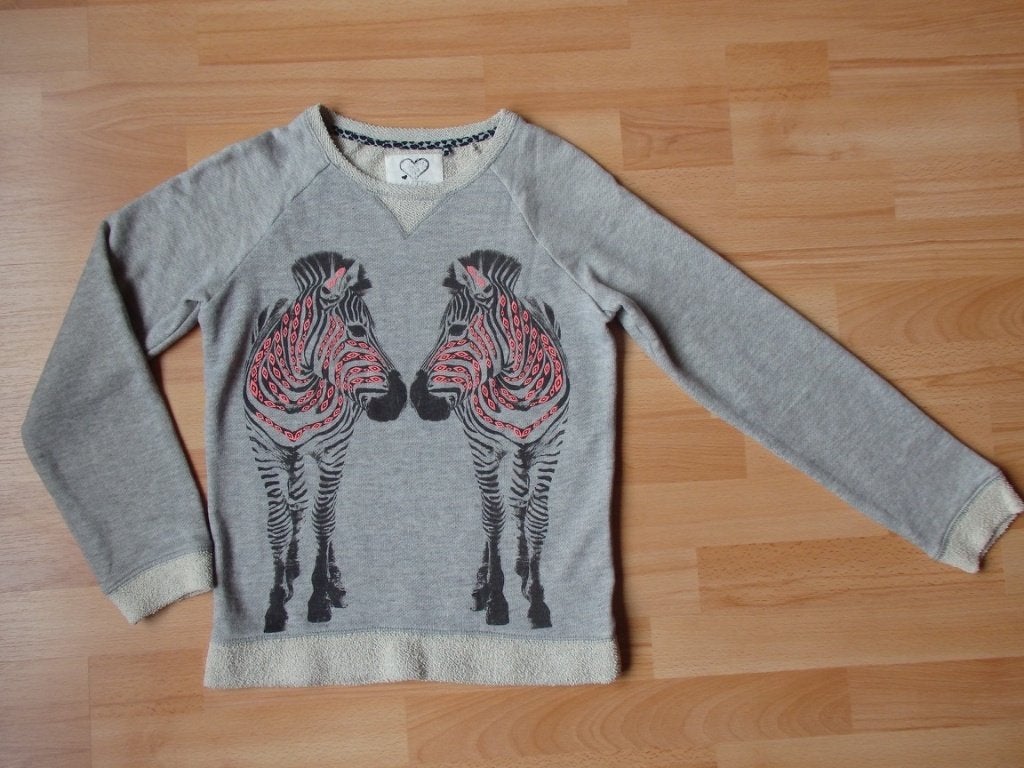 Trui/sweater zebra's van C&A maat 158/164, Ophalen, C&A, Meisje, Trui of Vest