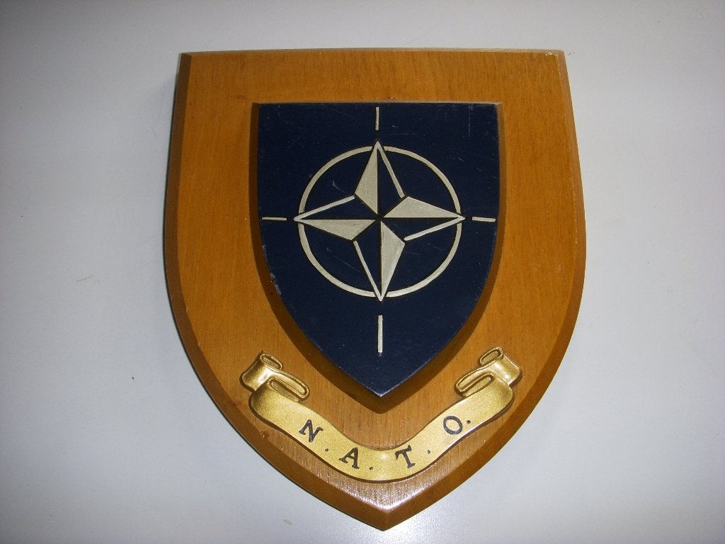 Ouder houten wapenschild van de N.A.T.O, Verzamelen, Ophalen of Verzenden, Landmacht, Nederland, Overige typen