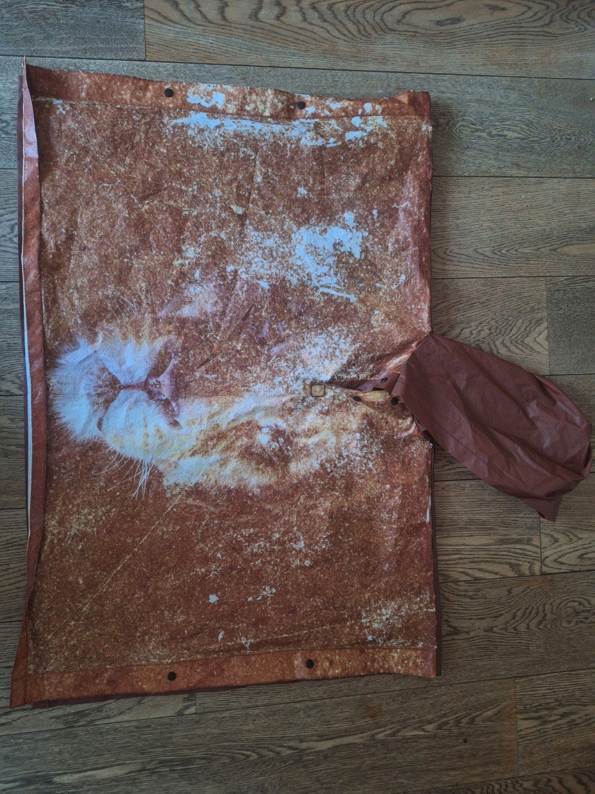 Regenponcho / Verfschort met leeuw (kindermaat), Ophalen, Jongen of Meisje