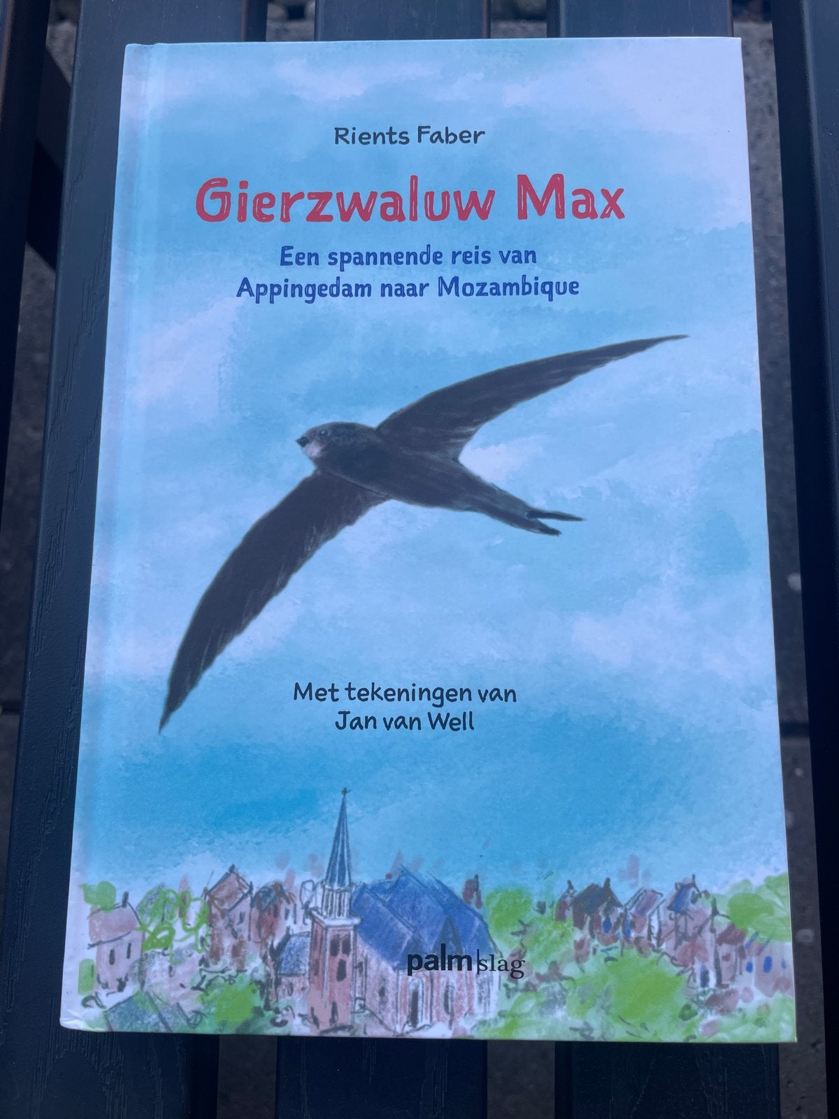 Gierzwaluw Max: Een spannende reis van Appingedam naar Mozam, Ophalen of Verzenden, Zo goed als nieuw, Fictie algemeen