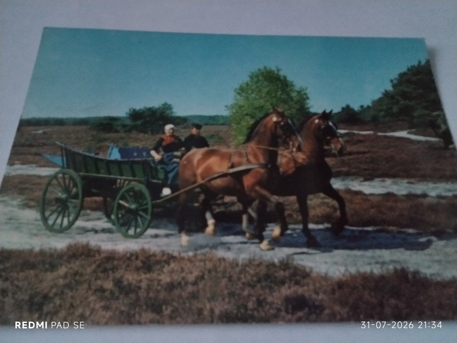 Oude ansichtkaart: Groeten uit Putten (Vel) met paarden, Ophalen of Verzenden, 1960 tot 1980, Gelopen, Gelderland