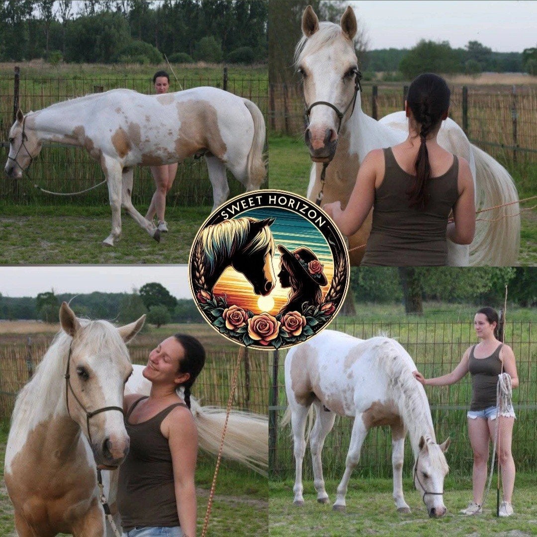 Natural Horsemanship | les & coaching | paarden training, Diensten en Vakmensen, Dieren | Paarden | Verzorging, Oppas en Les, Paardrijles of Ponykampen