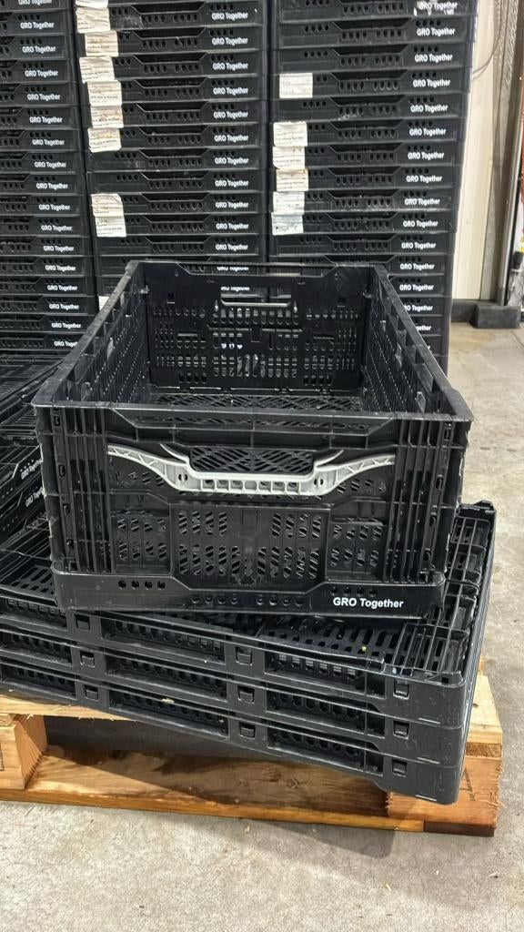 Klapkrat, krat opvouwbaar, extra sterk, 600x400x232mm, Ophalen, Gebruikt, 40 tot 60 cm, Opvouwbaar