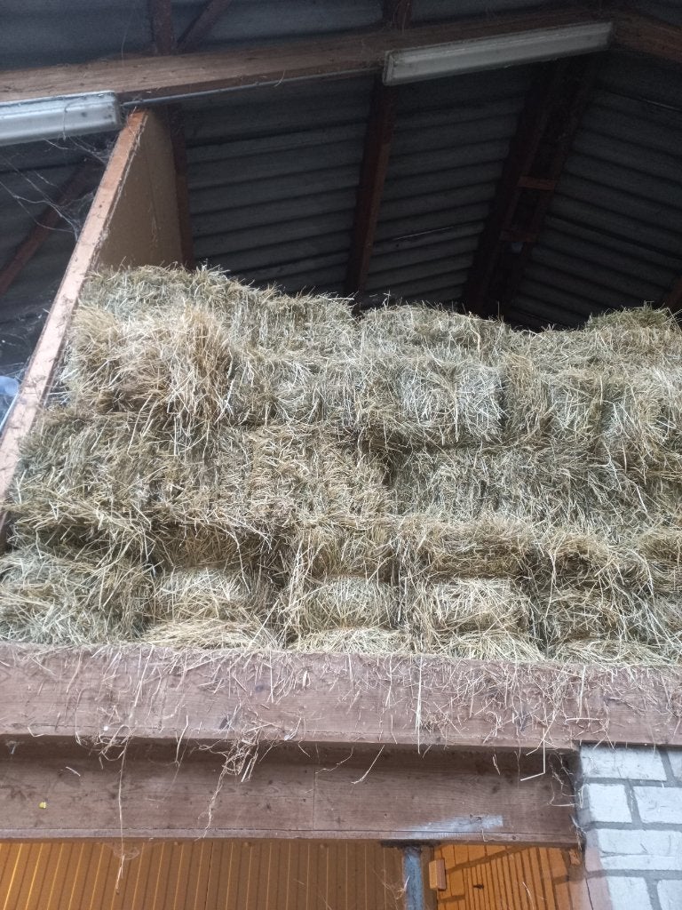 Hooi, Ophalen of Verzenden, Vee