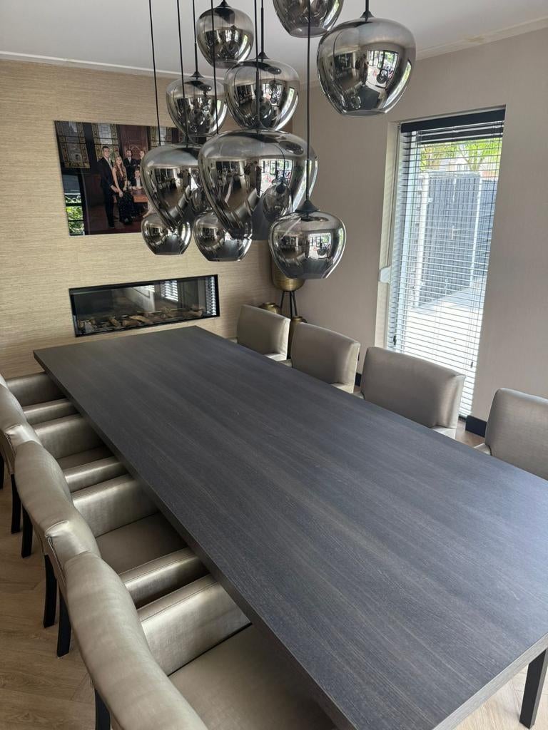 Luxe eettafel met 10 stoelen - Zo goed als nieuw, Huis en Inrichting, Tafels | Eettafels, Ophalen, 100 tot 150 cm, 200 cm of meer