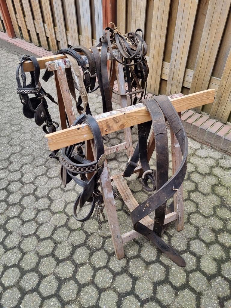 Haflinger hoofdstellen, Dieren en Toebehoren, Ophalen, Gebruikt, Overige soorten