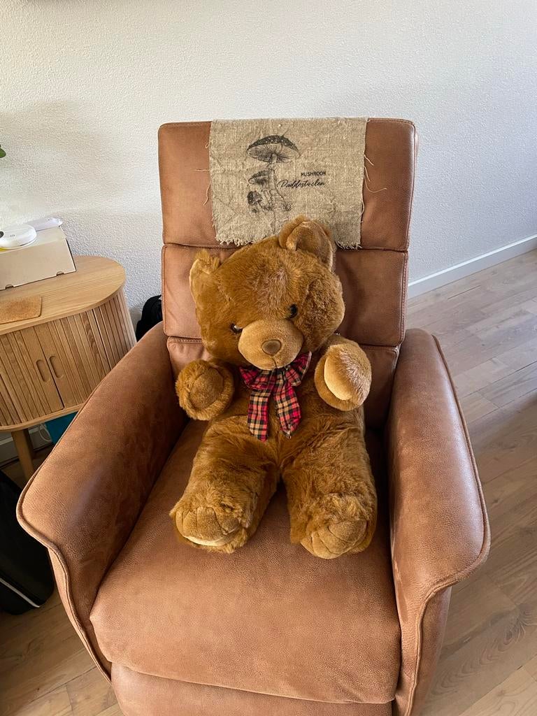 Grote bruine teddybeer 60 cm met zachte vacht, Kinderen en Baby's, Speelgoed | Knuffels en Pluche, Zo goed als nieuw, Beer, Ophalen