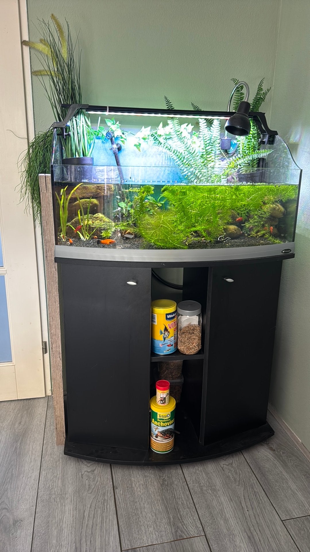 Ferplast Schildpadden Aquarium, Ophalen, Zo goed als nieuw, Gevuld zoetwateraquarium, Overige merken